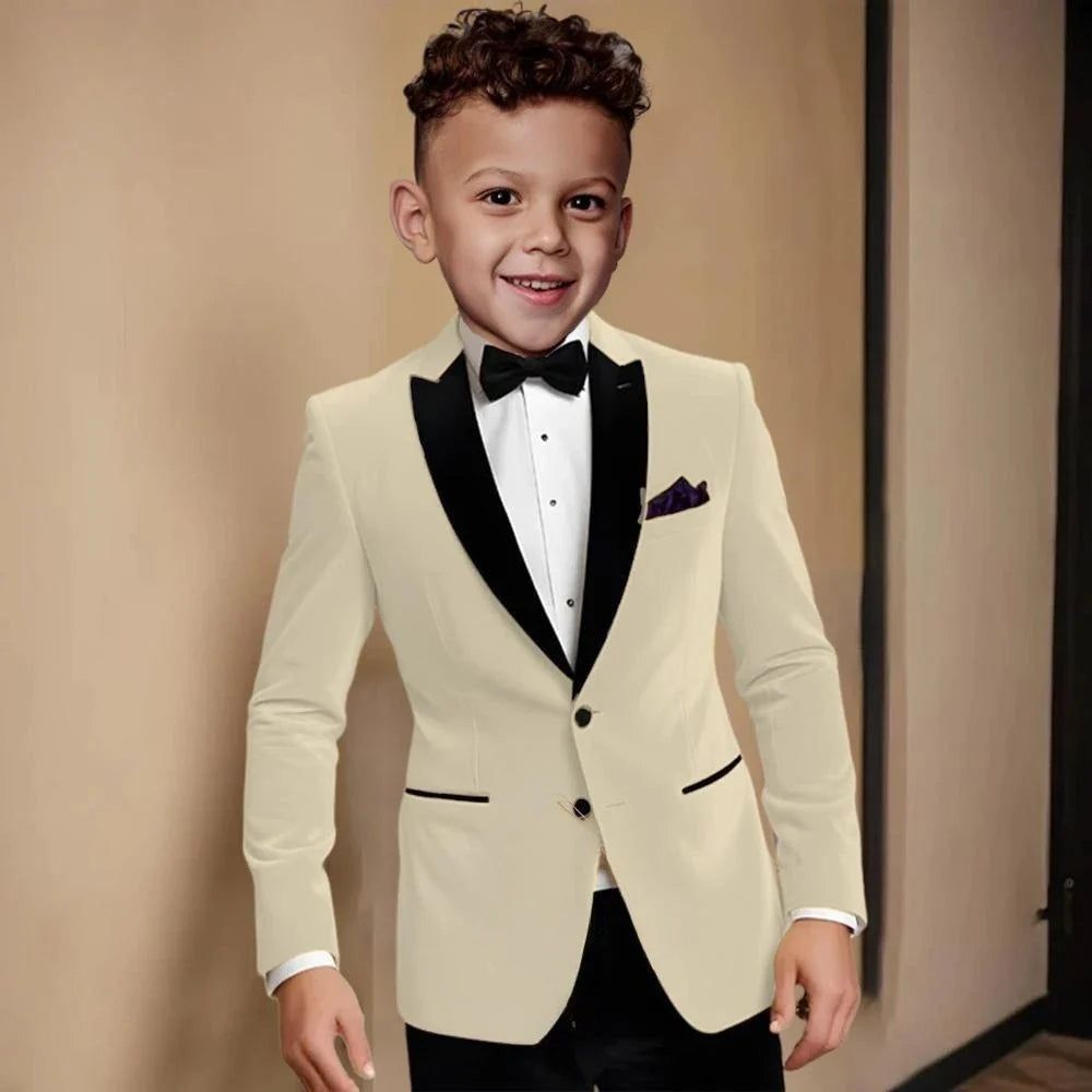Fashionable Velvet Collar Boys Slim Fit Suits 2 Pieces Host Costumes,Elegant Formal Kids Suit Set Birthday Party Outfit 2-20T