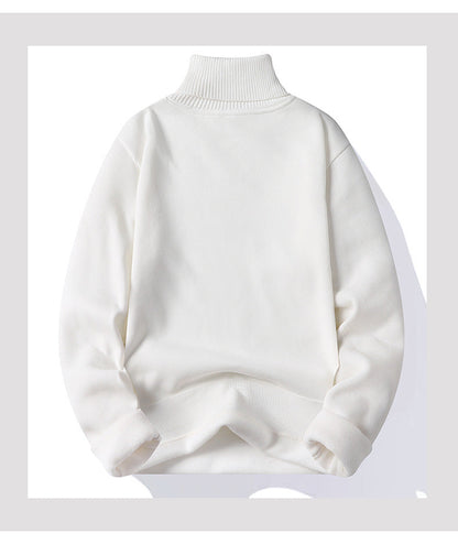 Autumn Winter Men's Turtleneck Sweater Men's Knitting Pullovers Rollneck Knitted Sweater Warm Men Jumper Slim Fit Casual Sweater