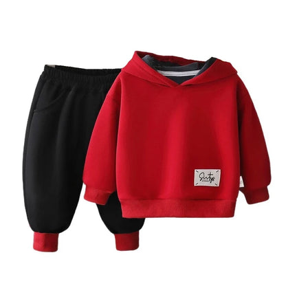 New Autumn Winter Baby Boys Clothes Suit Children Thick Warm Hoodies Pants 2Pcs/Sets Infant Girls Clothing Set Kids Tracksuits