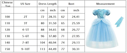 Girl Fancy Birthday Party Cinderella Ball Gown with Gloves Embroidery Floral Puffy Kids Princess Party Dress Fairy Glass Slipper