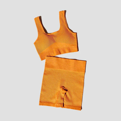 2PCS Women Yoga Set Gym Set Sexy Bra Seamless Sports Shorts Workout Running Clothing Gym Wear Athletic Sport Suit