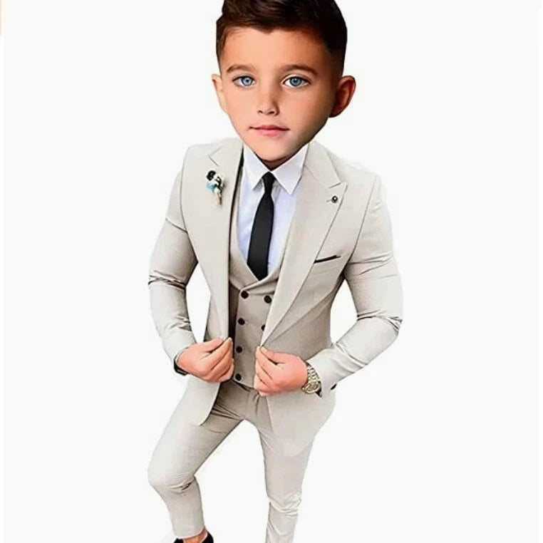 Boys Formal Slim Fit Suits 3 Pieces Holiday Celebration Outfit,Autumn Long Sleeve Kids Peak Lapel Suit Set Wedding Guest Wear