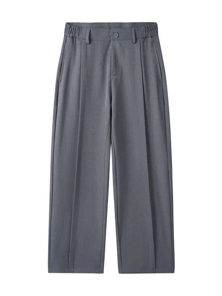 2023 New Autumn Casual Pants Men Korean Fashion Banded Waist Stretch Wide Leg Pleated Suit Slacks Straight Loose Drape Trousers