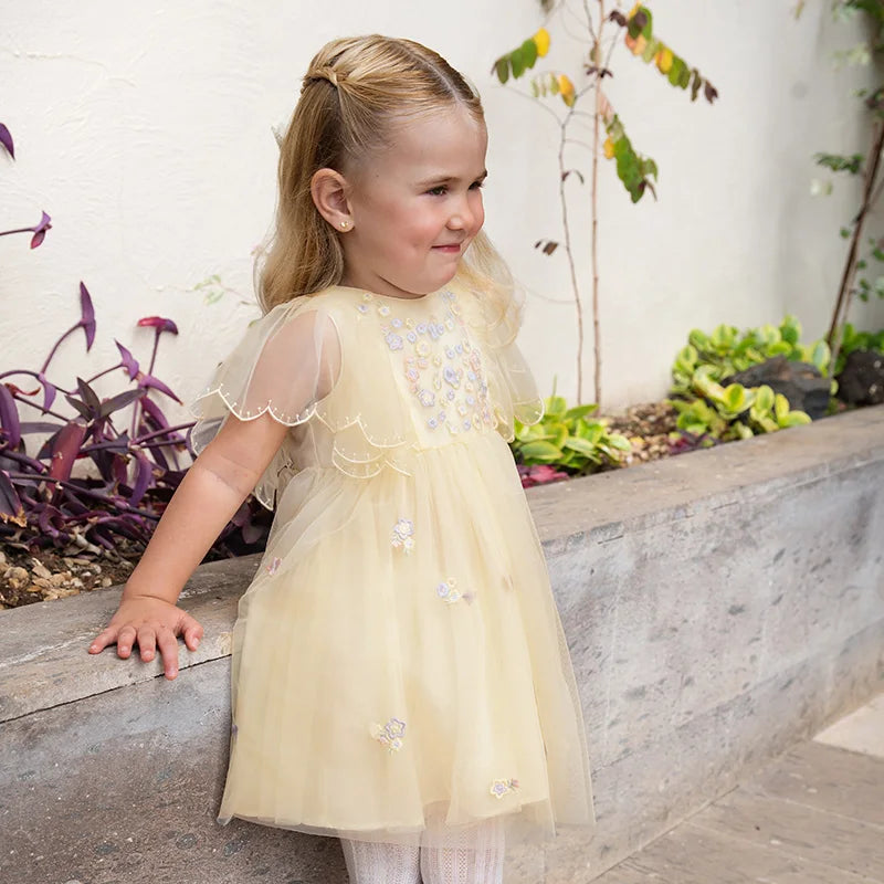 Summer Girls Baby Princess Dress Charm Elegant Cute Mesh Embroidered Floral Dress Party Gentle Outdoor DB2250967