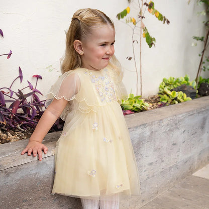 Summer Girls Baby Princess Dress Charm Elegant Cute Mesh Embroidered Floral Dress Party Gentle Outdoor DB2250967