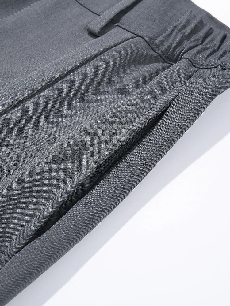 2023 New Autumn Casual Pants Men Korean Fashion Banded Waist Stretch Wide Leg Pleated Suit Slacks Straight Loose Drape Trousers