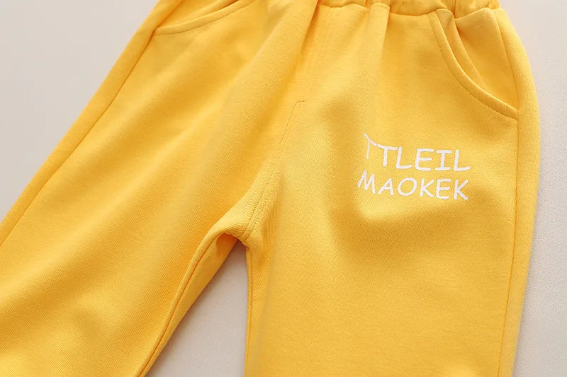 New Spring Autumn Baby Boys Clothes Suit Children Girls Fashion T-Shirt Pants 2Pcs/Sets Toddler Casual Costume Kids Tracksuits