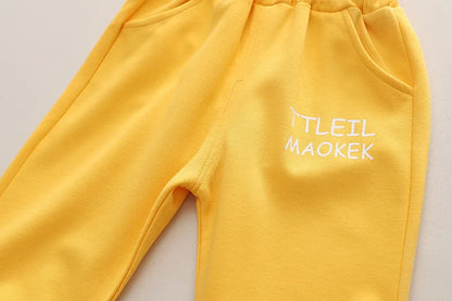 New Spring Autumn Baby Boys Clothes Suit Children Girls Fashion T-Shirt Pants 2Pcs/Sets Toddler Casual Costume Kids Tracksuits
