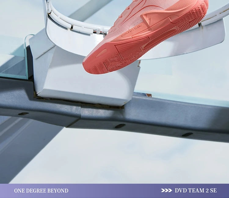 DVD Team 2.0 SE Men's Basketball Shoes Professional Shock-Absorbing Combat Wear-resistant Male Sneakers 672521109