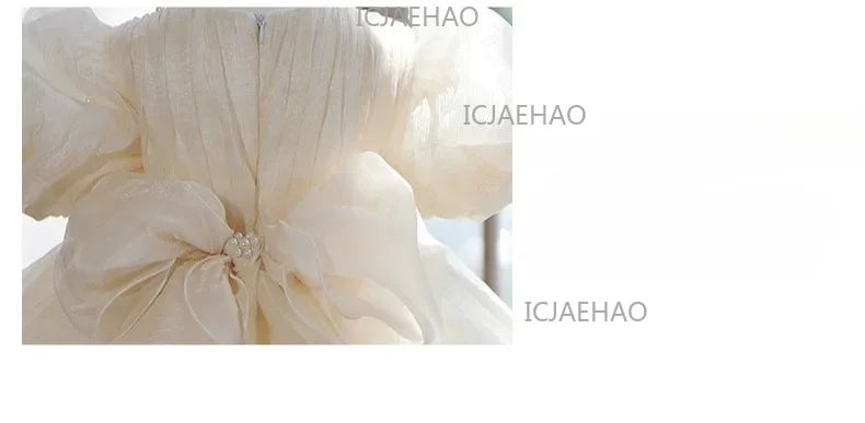 Children Girls Birthday Flower Girl Wedding Little Gown Kids Formal Champagne Host Piano Performance Princess Summer Costume