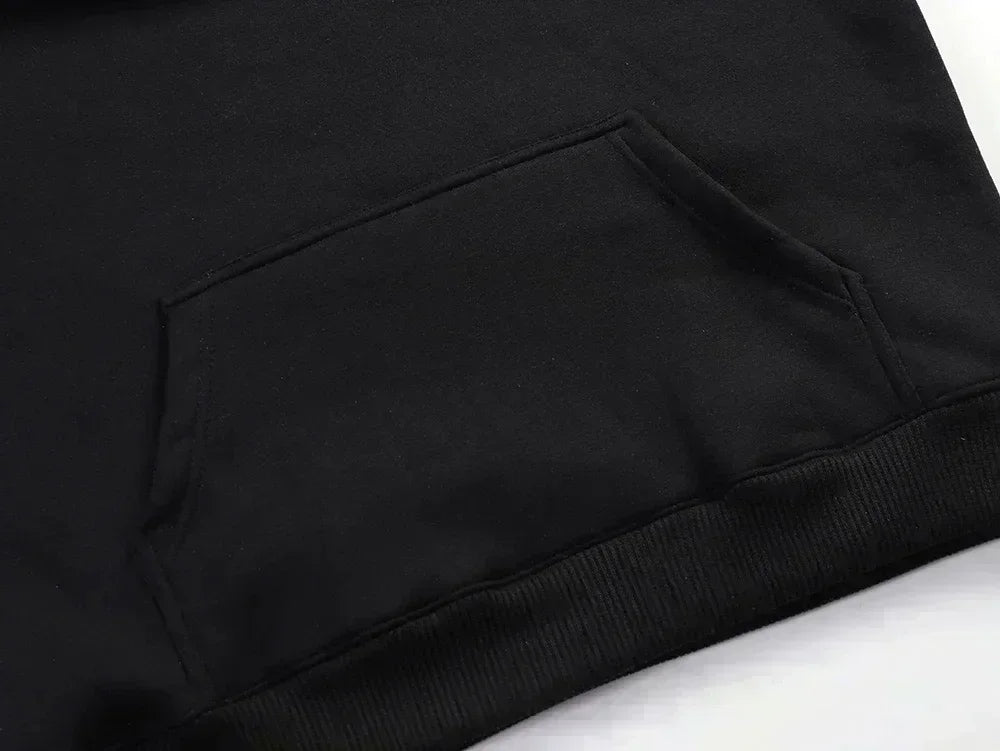 Game Tribute Apparel Hoodie Expedition 33 for Those Who Come After Quote Gamer Hoodie Gustave Clair Obscur Fan Sweatshirt Unisex
