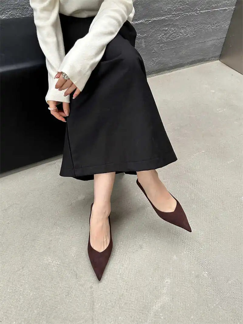 2024 Autumn Pointed Toe Women Sexy Shallow Slip On Pumps Shoes Fashion Thin High Heel Ladies Elegant Dress Shoes Mujer