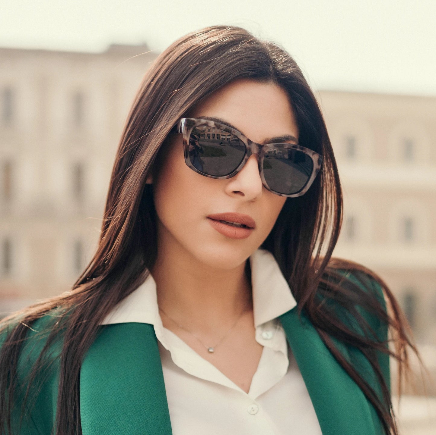 Butterfly Women Oversized Polarized Sunglasses Vintage Shades UV Protection Retro Cat Eye Ladies Sun Glasses ZS2206