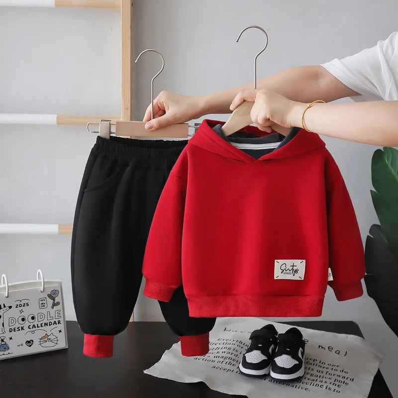 New Autumn Winter Baby Boys Clothes Suit Children Thick Warm Hoodies Pants 2Pcs/Sets Infant Girls Clothing Set Kids Tracksuits