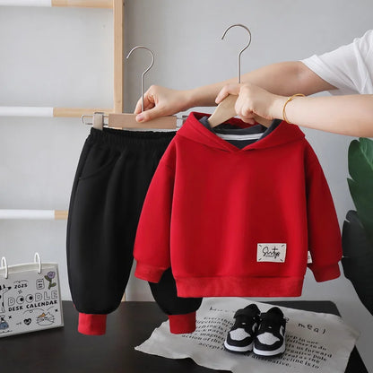 New Autumn Winter Baby Boys Clothes Suit Children Thick Warm Hoodies Pants 2Pcs/Sets Infant Girls Clothing Set Kids Tracksuits