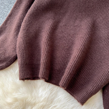 Autumn Casual Two Pieces Sets Women O-Neck Loose Knitting Top+Elastic Waist Large Swing Skirt Basic Korean Winter Sets