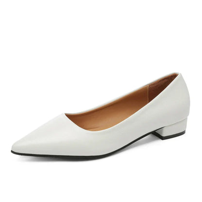 New Pointed Toe Shallow Mouth Square Heel Small Leather Shoes Women's Elegant Fashion High Heels Dress Shoes Zapatos Mujer