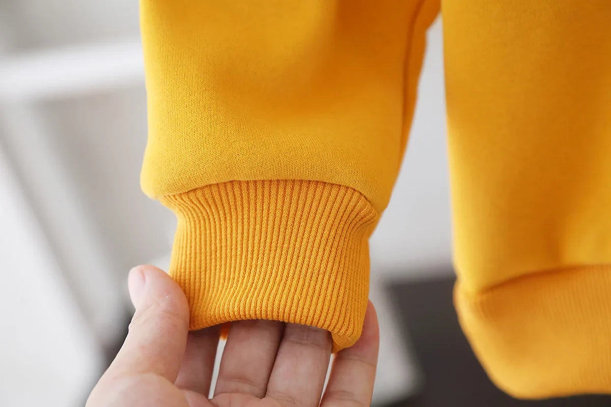 New Autumn Winter Baby Boys Clothes Suit Children Thick Warm Hoodies Pants 2Pcs/Sets Infant Girls Clothing Set Kids Tracksuits