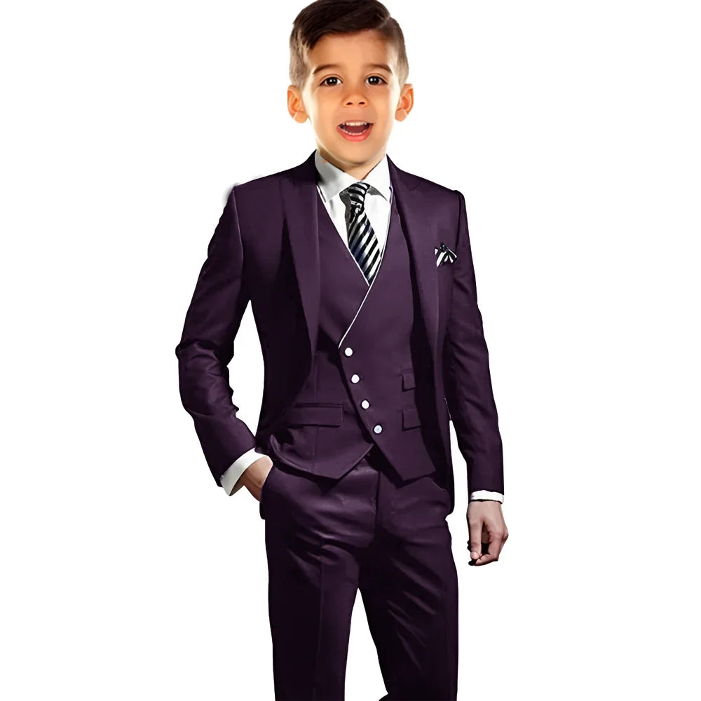Boys Elegant Peak Lapel Suit Set 3 Pieces Birthday Party Outfit,Autumn Long Sleeve Tuxedo Wedding Guest Clothes,Plus Size Suits