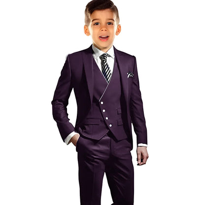 Boys Elegant Peak Lapel Suit Set 3 Pieces Birthday Party Outfit,Autumn Long Sleeve Tuxedo Wedding Guest Clothes,Plus Size Suits