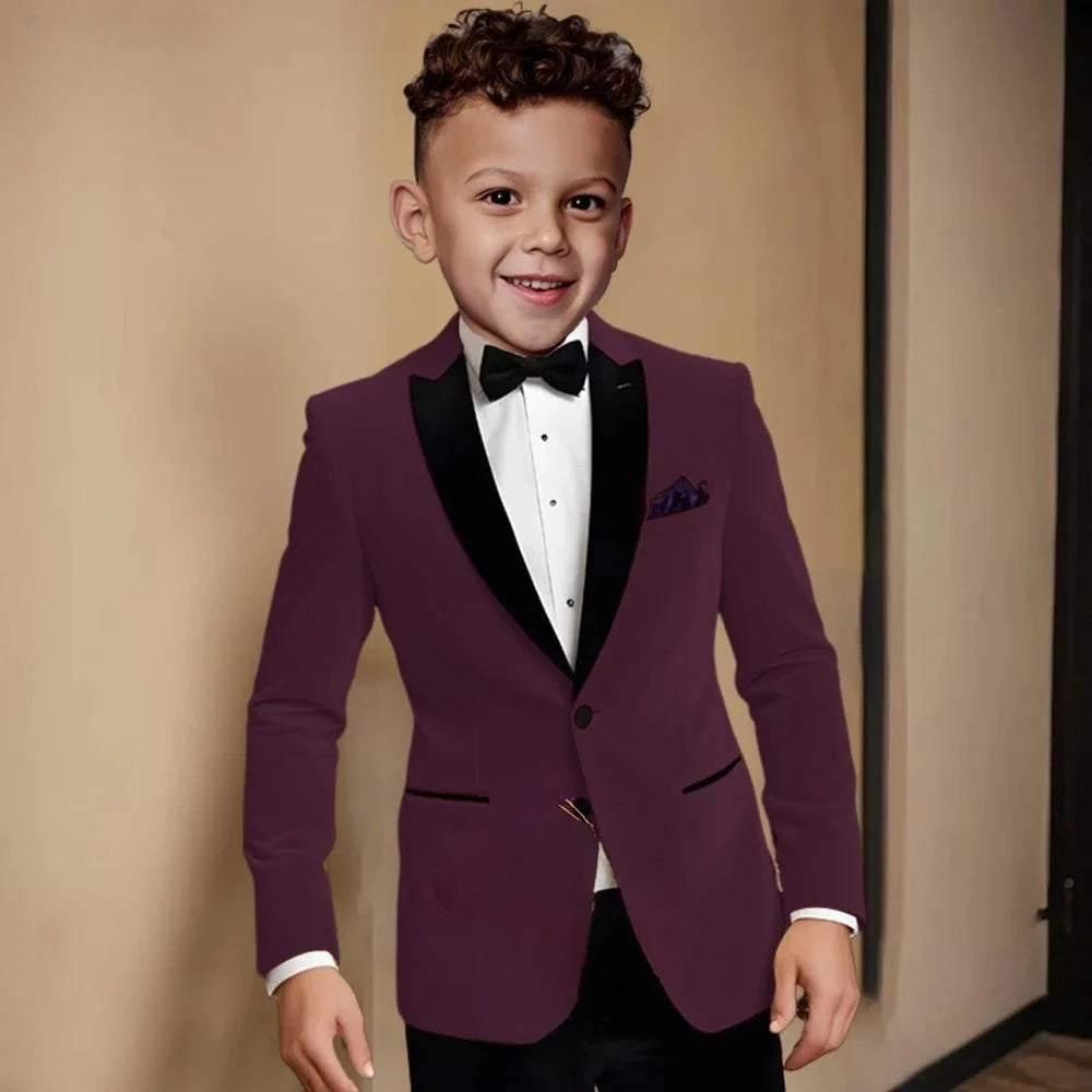 Fashionable Velvet Collar Boys Slim Fit Suits 2 Pieces Host Costumes,Elegant Formal Kids Suit Set Birthday Party Outfit 2-20T