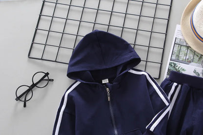 New Spring Autumn Baby Boys Clothes Children Girls Sports Hooded Jacket Pants 2Pcs/Sets Toddler Casual Costume Kids Tracksuits
