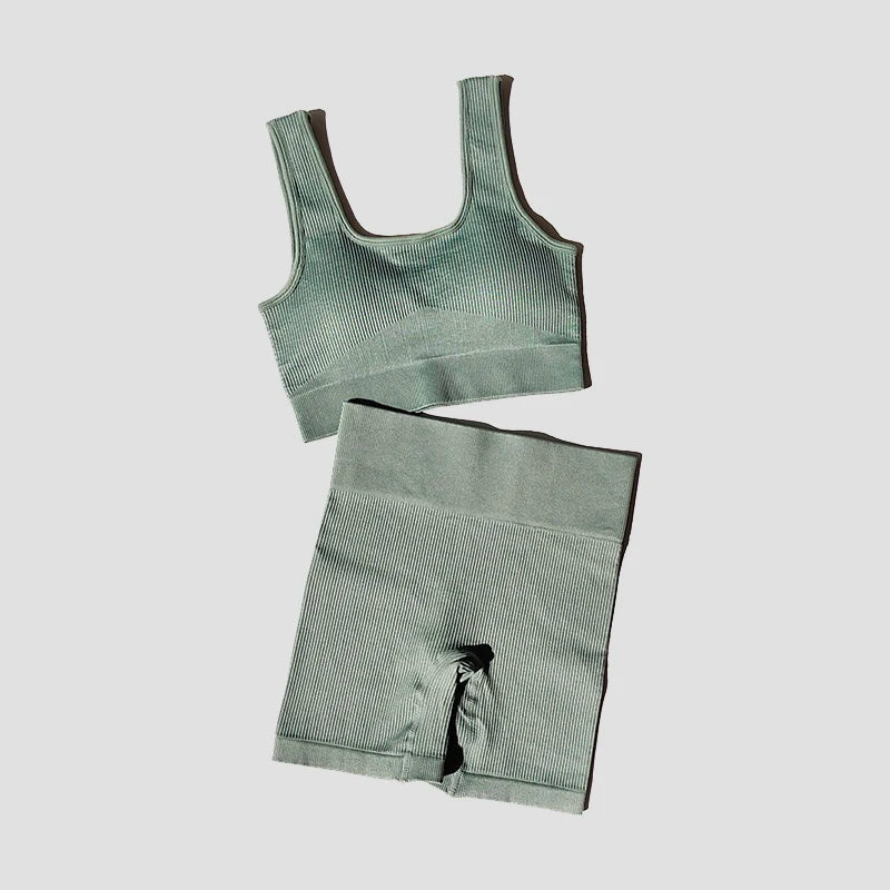 2/4/6PCS Seamless Women Yoga Set Workout Sportswear Fitness Bra Sport Pants Gym Clothing High Waist Leggings Shorts Sports Suits