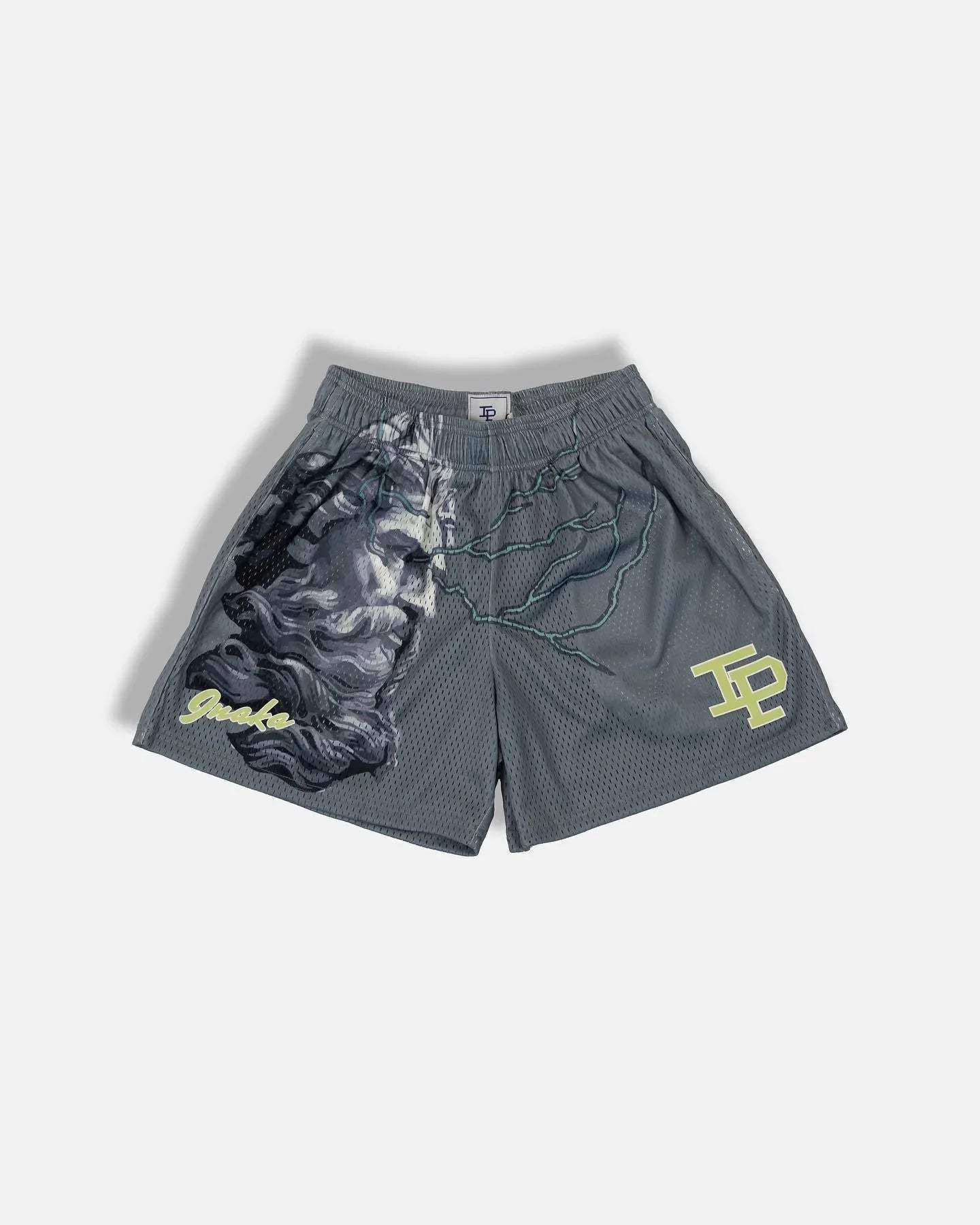 Mens Clothing IP Trend Casual Sports Shorts Gym Fitness Quick Dry Breathable Mesh Beach Basketball Jogger Short Pants Sweatpants