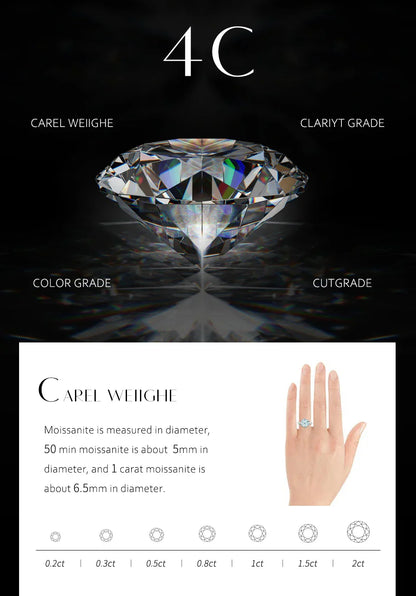 D VVS1 Luxulry Moissanite Earrings for Women Real 925 Sterling Silver Passed Diamond Tester Stud Earrings Anniversary