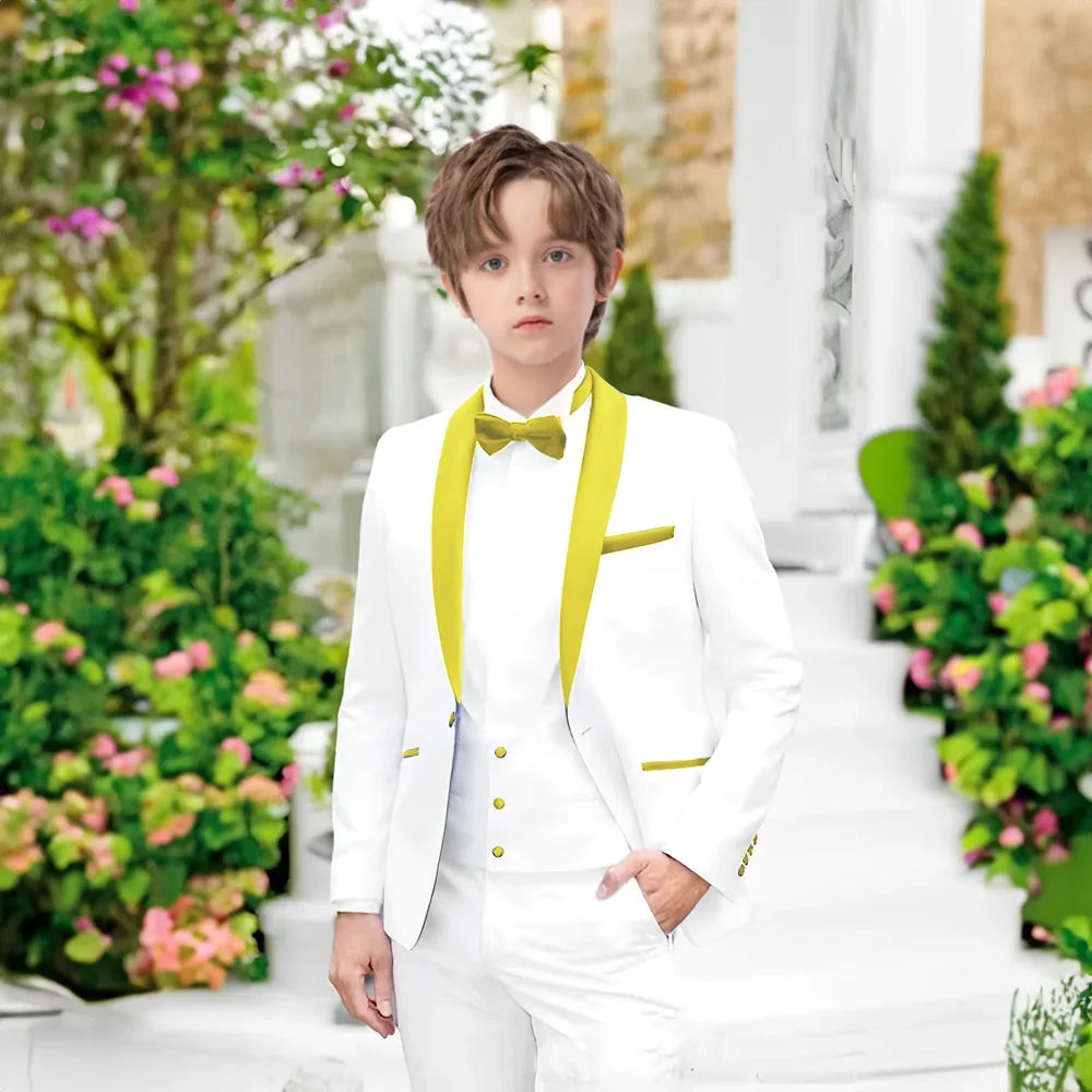 Hot Sale Boys Slim Fit Suit 2 Pieces Piano Performance Wear,Chic Shawl Lapel Tuxedo For Party,Plus Size Suit Set Toddler 2-20T