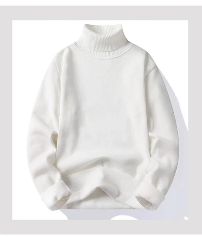 Autumn Winter Men's Turtleneck Sweater Men's Knitting Pullovers Rollneck Knitted Sweater Warm Men Jumper Slim Fit Casual Sweater