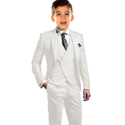 Boys Elegant Peak Lapel Suit Set 3 Pieces Birthday Party Outfit,Autumn Long Sleeve Tuxedo Wedding Guest Clothes,Plus Size Suits