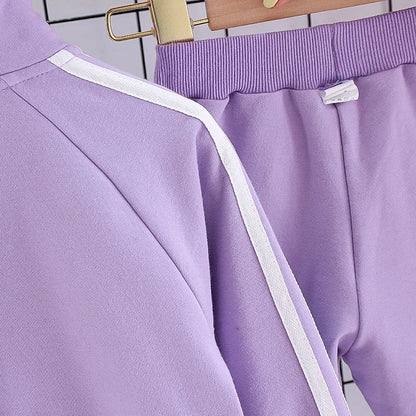 New Spring Autumn Baby Girl Clothes Suit Children Fashion Jacket Pants 2Pcs/Sets Toddler Casual Costume Infant Kids Tracksuits
