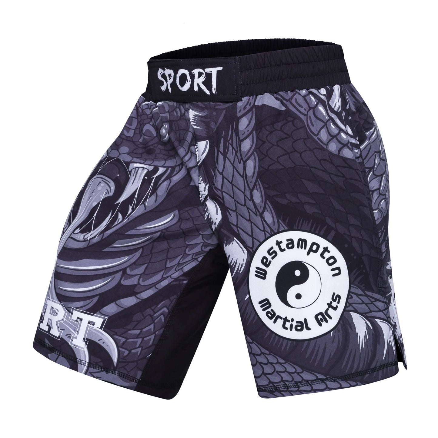 Training Fight Shorts Men's Boxing MMA Combat BJJ Grappling Fitness Muay Thai Kickboxing No Gi Shorts With Sublimation Printed