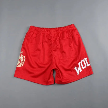 Mens Summer Streetwear Sports Casual Motorcycle Shorts Gym Fitness Mesh Quick Dry Running Beach Basketball Jogger Short Pants