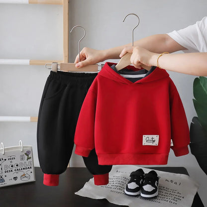 New Autumn Winter Baby Boys Clothes Suit Children Thick Warm Hoodies Pants 2Pcs/Sets Infant Girls Clothing Set Kids Tracksuits