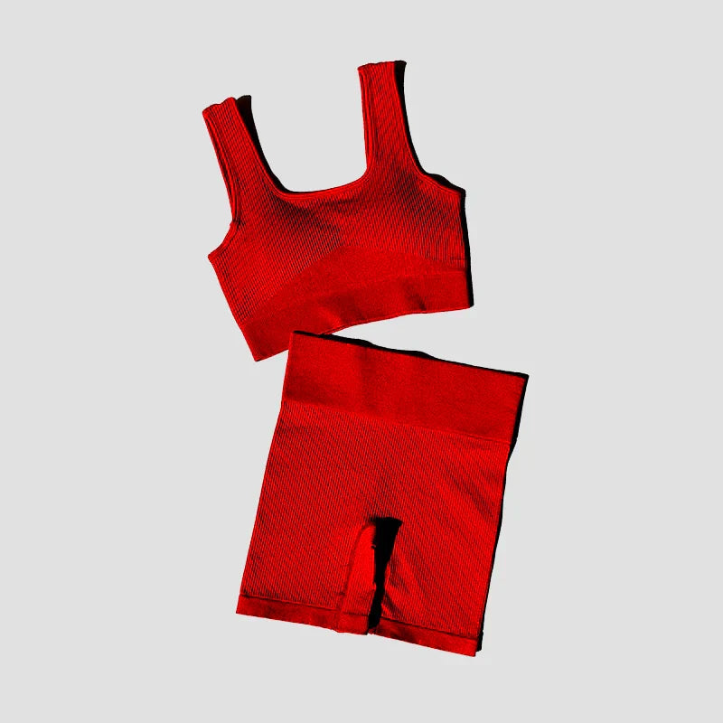 2PCS Women Yoga Set Gym Set Sexy Bra Seamless Sports Shorts Workout Running Clothing Gym Wear Athletic Sport Suit