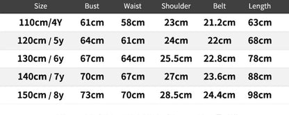 Cartoon Dog Printed Cosplay Costume Girls Dress Skye Princess Birthday Party Performance Dresses Girl Carnival Halloween Clothe