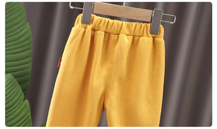 New Spring Autumn Baby Girls Clothes Kids Clothing Children Boys T-Shirt Pants 2Pcs/Set Toddler Sports Costume Infant Tracksuits