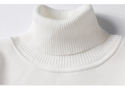 Autumn Winter Men's Turtleneck Sweater Men's Knitting Pullovers Rollneck Knitted Sweater Warm Men Jumper Slim Fit Casual Sweater
