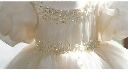 Kids Formal Champagne Children Girls Birthday Princess Summer Costume Flower Girl Wedding Little Gown Host Piano Performance