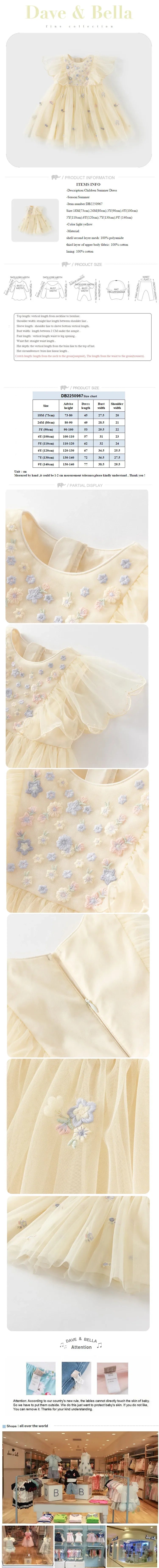 Summer Girls Baby Princess Dress Charm Elegant Cute Mesh Embroidered Floral Dress Party Gentle Outdoor DB2250967
