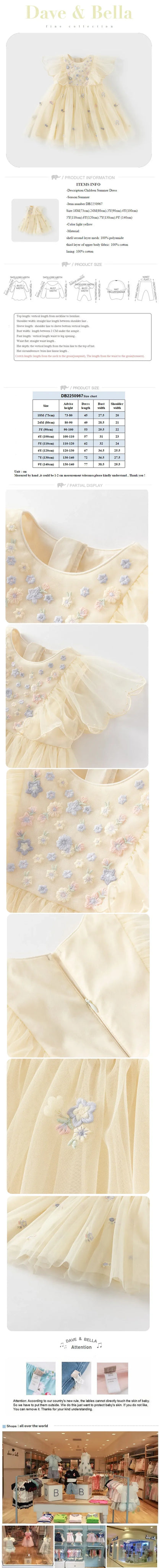 Summer Girls Baby Princess Dress Charm Elegant Cute Mesh Embroidered Floral Dress Party Gentle Outdoor DB2250967