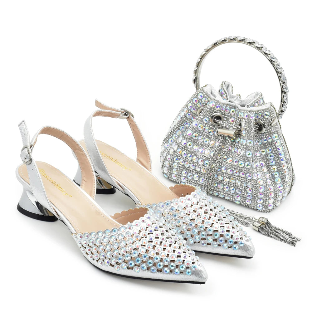 Fashion Women Shoes and Bags To Match Set Italy Party Pumps Italian Matching Shoe and Bag Set for Party Wedding Shoes Bride