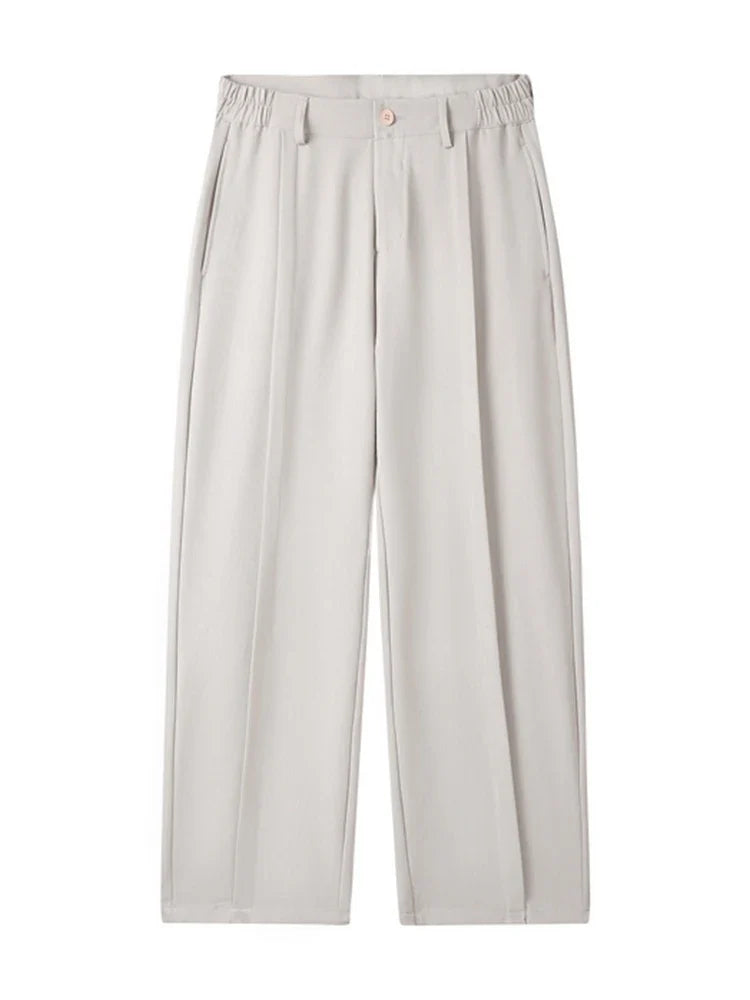 2023 New Autumn Casual Pants Men Korean Fashion Banded Waist Stretch Wide Leg Pleated Suit Slacks Straight Loose Drape Trousers
