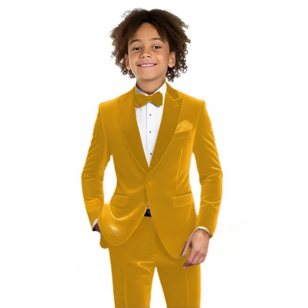 Multi-colors Boys Velvet Suit Set 2 Pieces Jacket Pants Autumn Kids Slim Fit Tuxedo For Photography Handsome Party Suits 2-20T