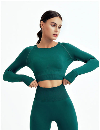 2/3Pcs Women Seamless Fitness Yoga Suit Workout Long Sleeve Crop Top Shirt Sports Bra High Waist Running Leggings Gym Clothing