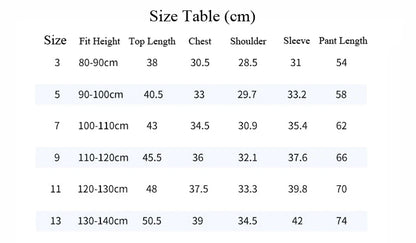 Superhero Bat Cosplay Costume Set Kids Boys Bruce Muscle Suit Tops Pants with Mask Cloak Children Halloween Carnival Party Coth