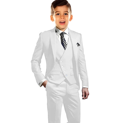 Boys Elegant Peak Lapel Suit Set 3 Pieces Birthday Party Outfit,Autumn Long Sleeve Tuxedo Wedding Guest Clothes,Plus Size Suits