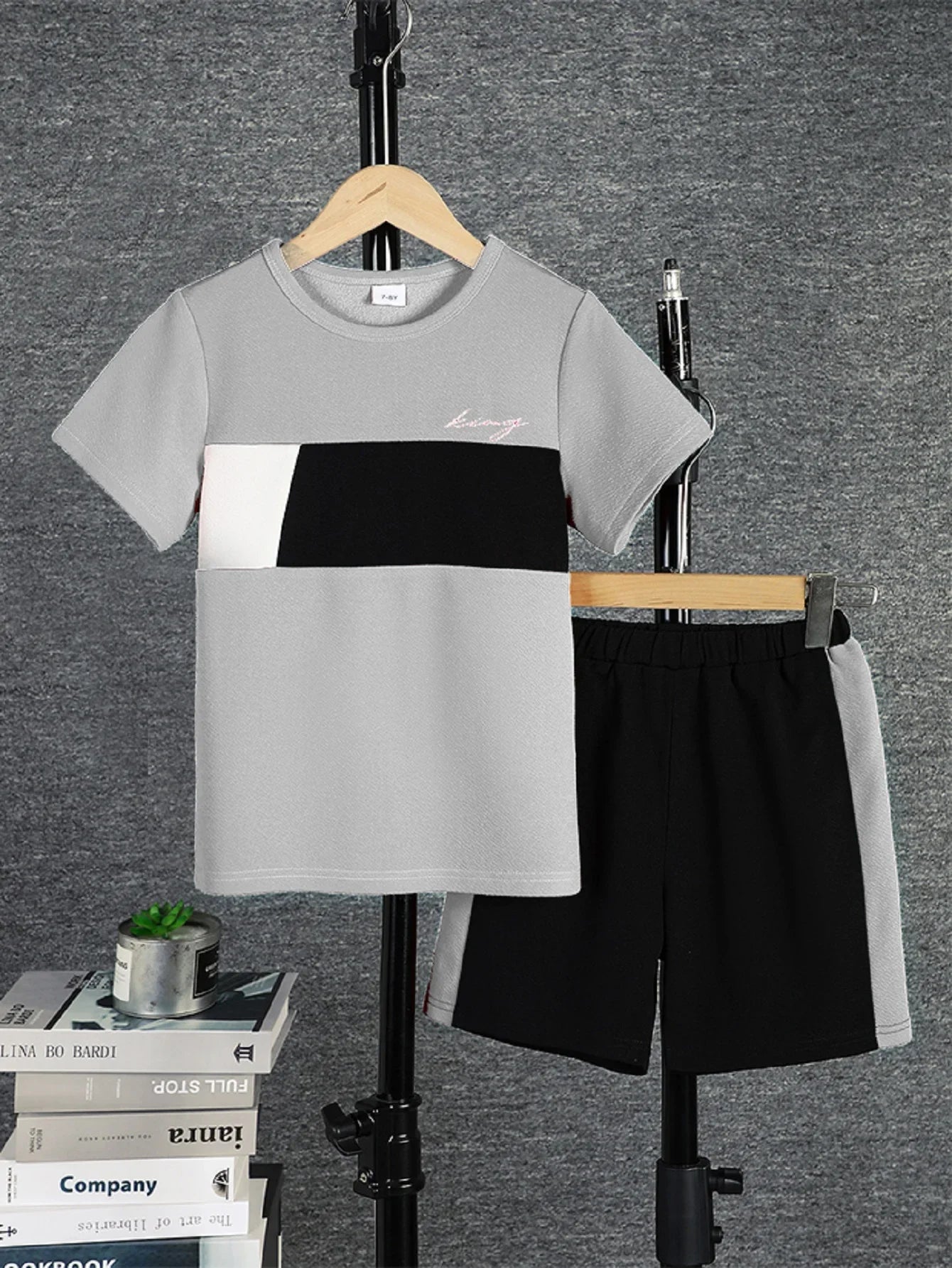 2pcs Boys Casual Colorblock Short Sleeve T-shirt & Shorts Set, Comfy Summer Kids Clothes